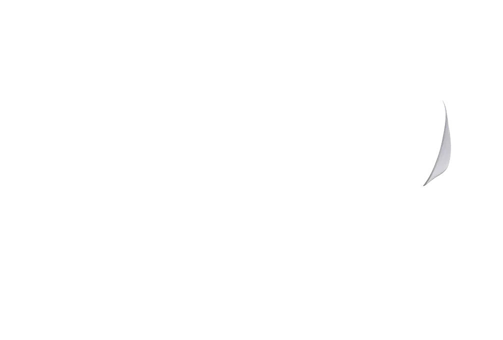 踵